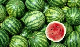 康县网红的瓜吃不吃,吃不吃，真相揭晓！